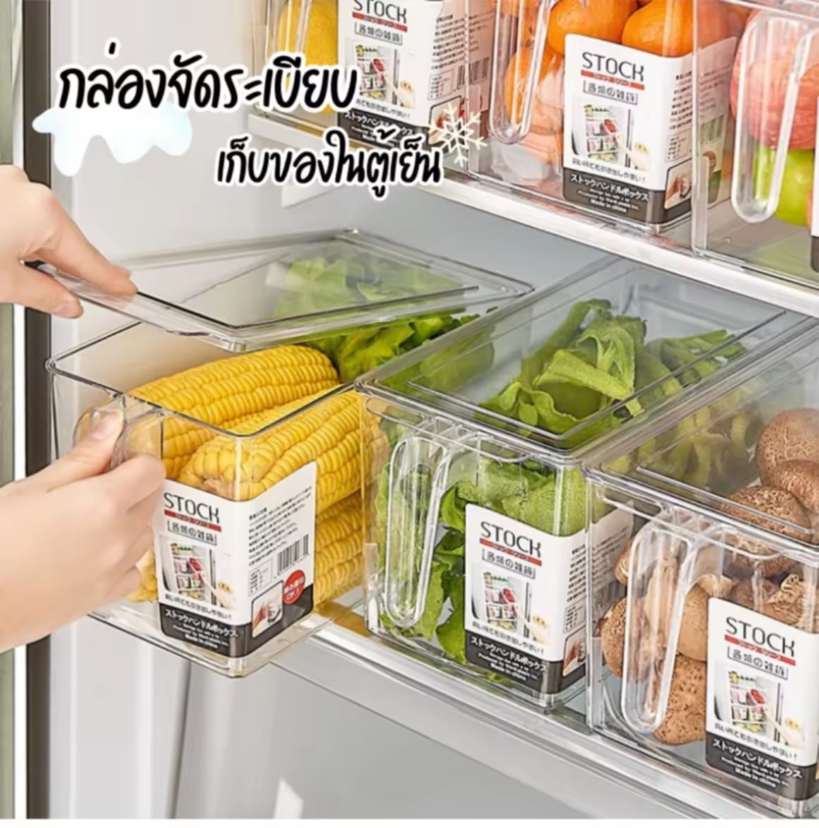 ກ່ອງຈັດລະບຽບໃນຕູ້ເຢັນ, ກ່ອງເກັບຂອງ, ກ່ອງພລາສຕິກ ມີຫູຈັບແລະຝາປິດ, ກ່ອງຖົນອົມອາຫານ, ກ່ອງເກັບຜັກແລະອາຫານສົດ, ຂອງໃຊ້ໃນຄົວ ຄວາມຈຸ: 10 ລິດ