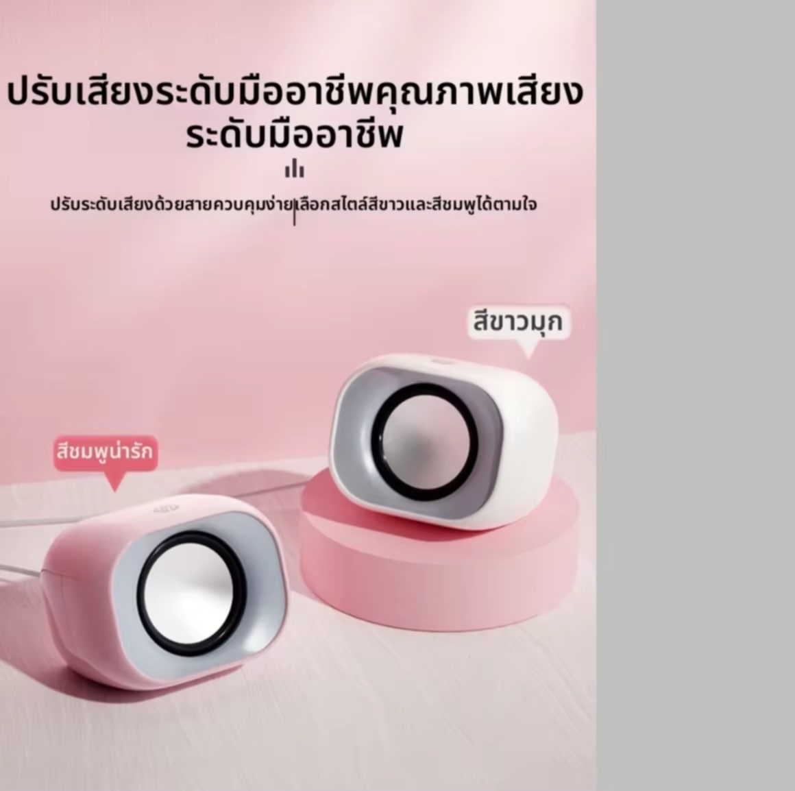 HP | ລຳໂພງຕັ້ງໂຕະມີສາຍ USB