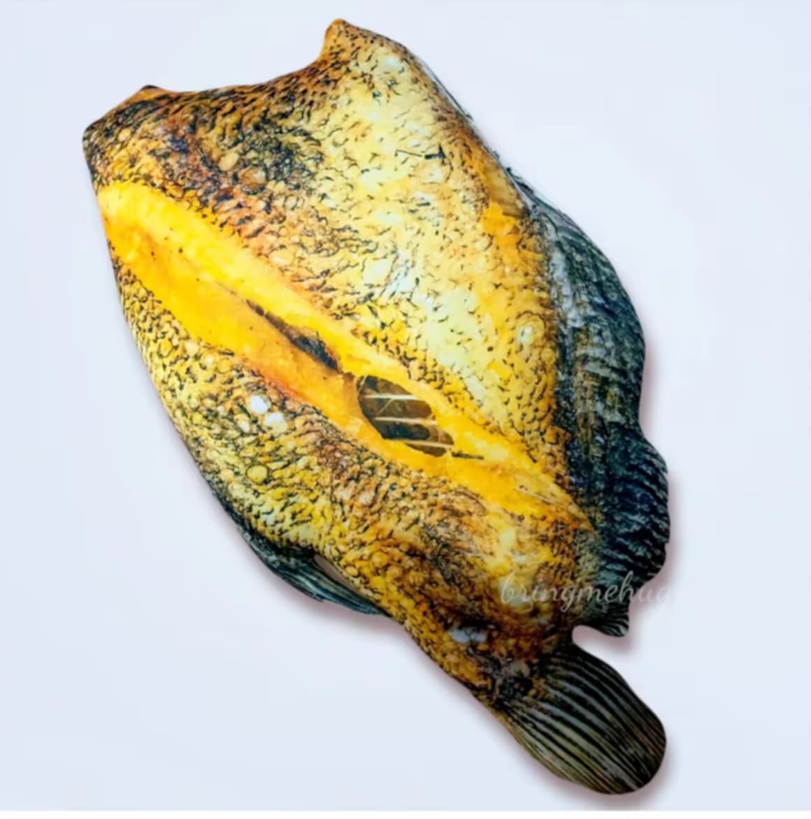 ຫມອນອີງຮູບປາສະຫຼິດ 50 ຊມ. ລາຍຄືຂອງຈິງຫຼາຍທີ່ສຸດ ເປັນຫມອນຂອງຂວັນ ເໝາະສຳລັບທຸກໂອກາດ ເຊັ່ນ ວັນເກີດ, ວັນຮັບປະລິນຍາ, ແລະການແສດງຄວາມຍິນດີຕ່າງໆ