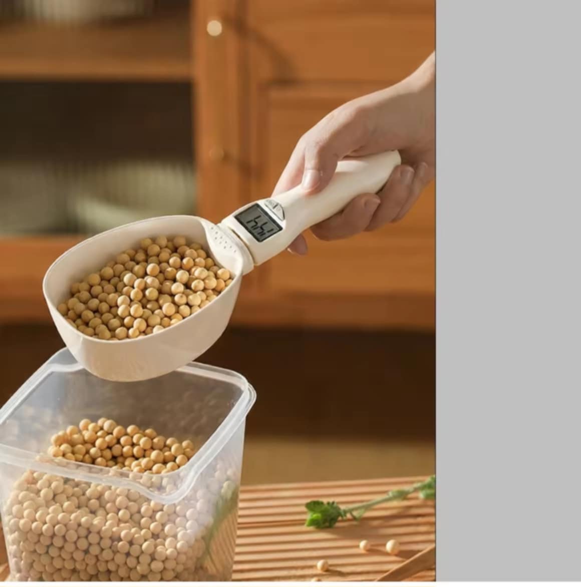 CAROTE | ຊ້ອນວັດອາຫານ